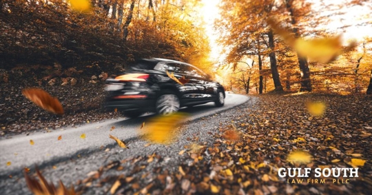 car driving through autumn leaves